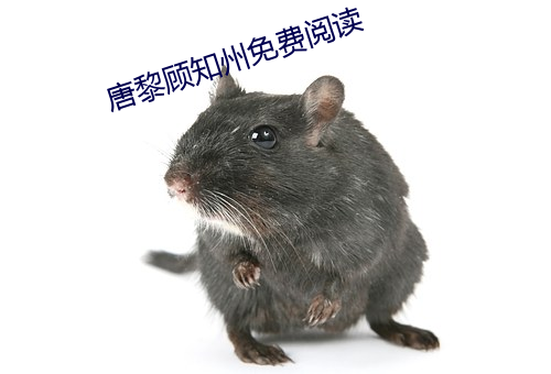 唐黎顾知州免费阅读