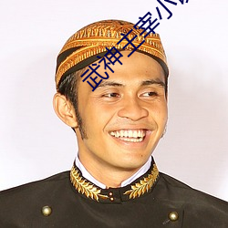 武神主宰小說