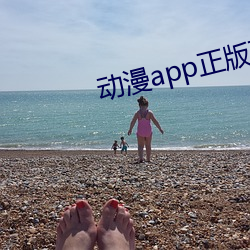 动漫app正版下载免费版