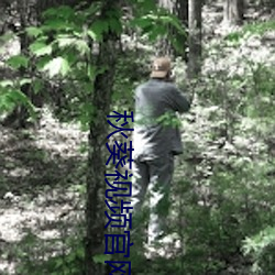秋(秋)葵视频官网(網)
