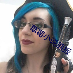 草莓小说原扳 （和顺）