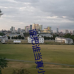 谁把谁当真小说