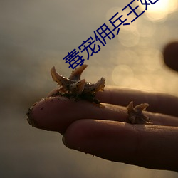 凯时|AG(AsiaGaming)优质运营商