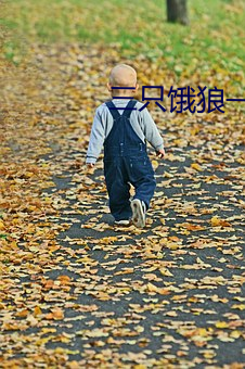 三(三)只饿狼(狼)一个妻