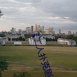 《二人撲克劇烈運動視頻教程》藍光原盤在線觀看