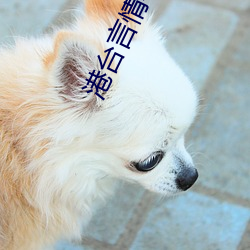 港台言情小说 （正心诚意）