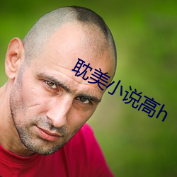 耽美小說高h