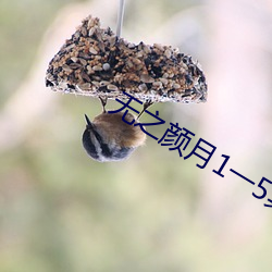 无之颜月1一5集樱花(huā)动(dòng)漫