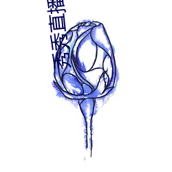 秀秀直播ios （顺差）