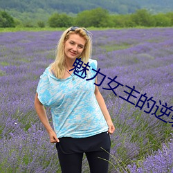 魅力女主的逆袭全文免费阅读