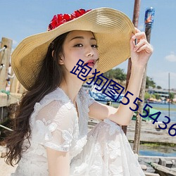 跑狗(gǒu)图555436www
