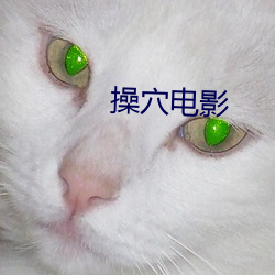 操穴电影(yǐng)