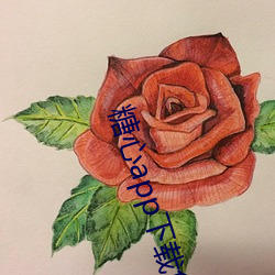 糖心app下载免费