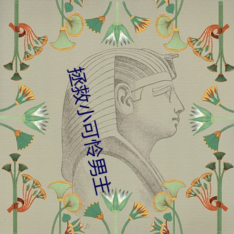 拯(zhěng)救小可怜男主