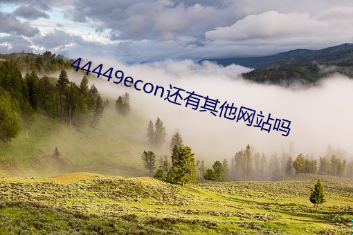 44449econ還有其他網站嗎