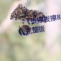 《拔擦拔擦8x8x网站》电影高清完整版