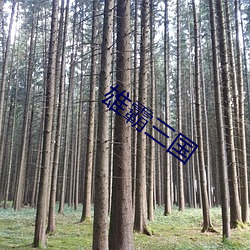 雄霸三國