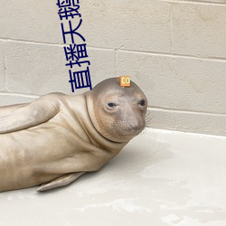 直播(播)天鹅芭apk免费