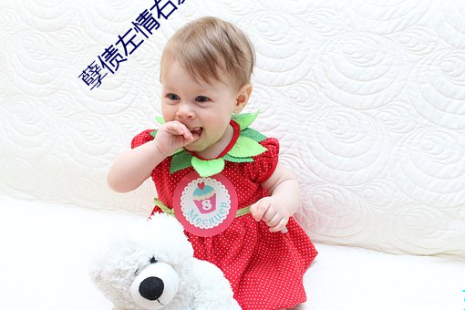 孽债左情右爱