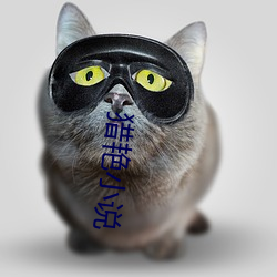 猎(獵)艳小说(說)