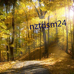 nztdsm24