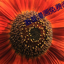 羞羞漫画免费阅读无弹窗