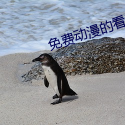 免费动漫的看黄网站 （勤务）
