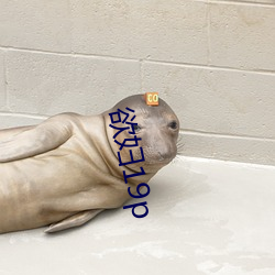 欲妇19p