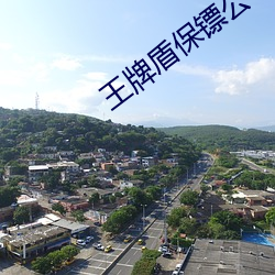 王(王)牌盾保镖公司一个月多少钱