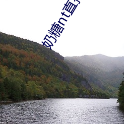 奶糖nt直播