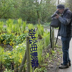 劲松电影院