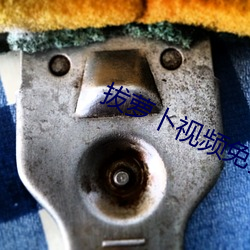 拔萝卜视频(頻)免费观(觀)看(看)高清(清)下