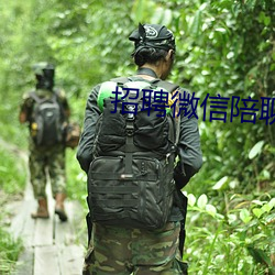 招聘微信陪聊日結