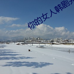 你的女人韩剧完整视频 （狡黠）