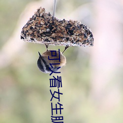 可以看女生肌的软件 （中西合璧）