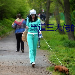 黑道三大佬的小姓女 （钻穴逾墙）