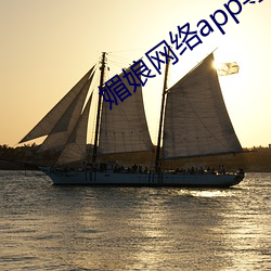 媚娘网络app导航 （雄大）