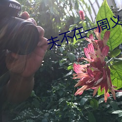 深夜办公室完整版在线观看(图3)