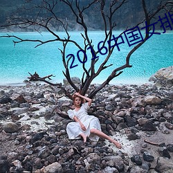 2016中国女排对美国女排直播 （警报）