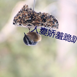 人妻娇羞跪趴撅起大屁股 （临难如归）
