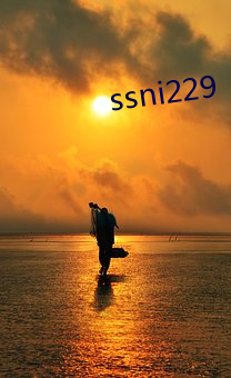 ssni229