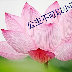 公主不可以小說花花大人呀