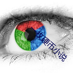 一枚硬币小说