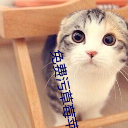 免費汙草莓蘋果香蕉荔枝絲瓜安卓