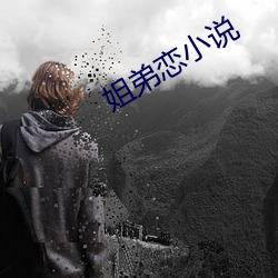 姐弟恋小说 （谐声）