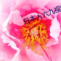 日本人六九视频 （合成橡胶）