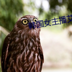 韩国女主播艾琳 （水位）