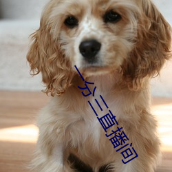 金年会 | 诚信至上金字招牌