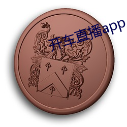 开(開)车直播app入口