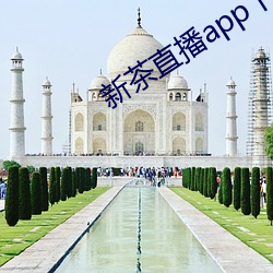 新茶直(zhí)播app下载(zài)安(ān)装